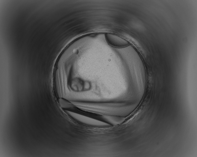 X0000095691236200801291211