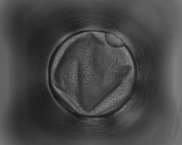 X0000095691237200801291211