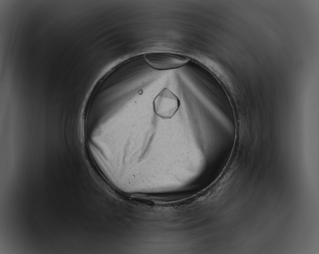 X0000095691238200801291211