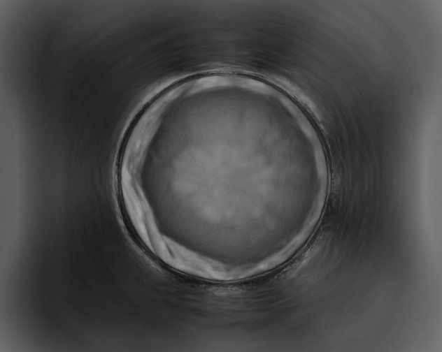 X0000095691239200801291211