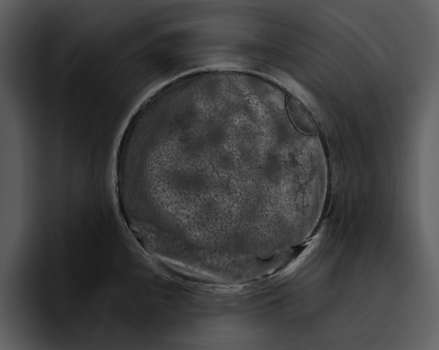 X0000095691240200801291211