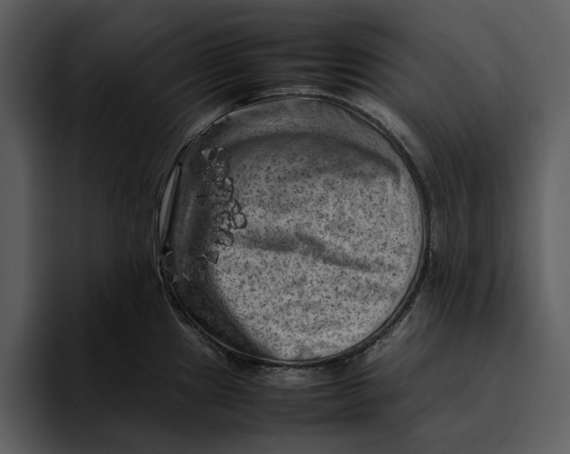 X0000095691241200801291211