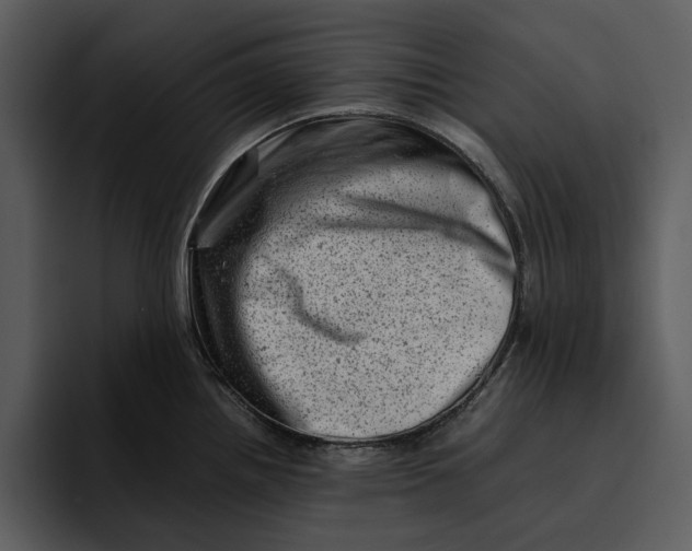 X0000095691242200801291211