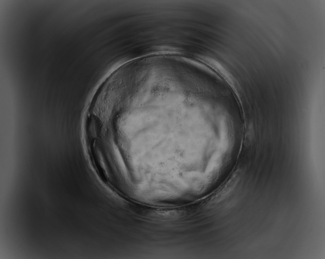 X0000095691243200801291211