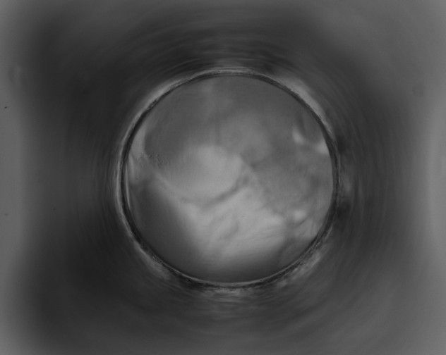 X0000095691245200801291211