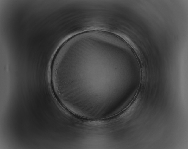 X0000095691246200801291211