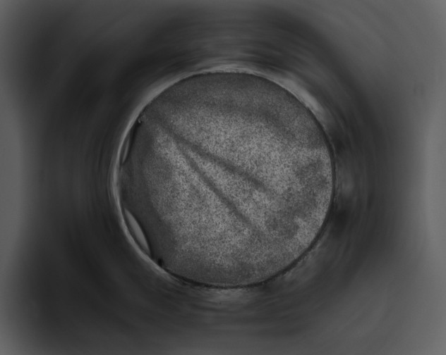 X0000095691247200801291211