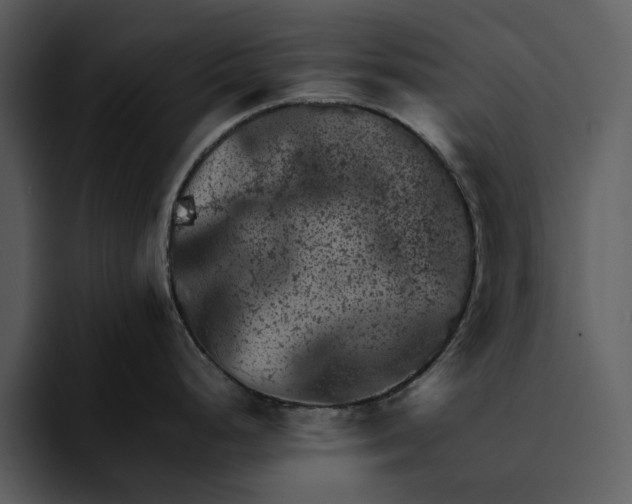 X0000095691248200801291211