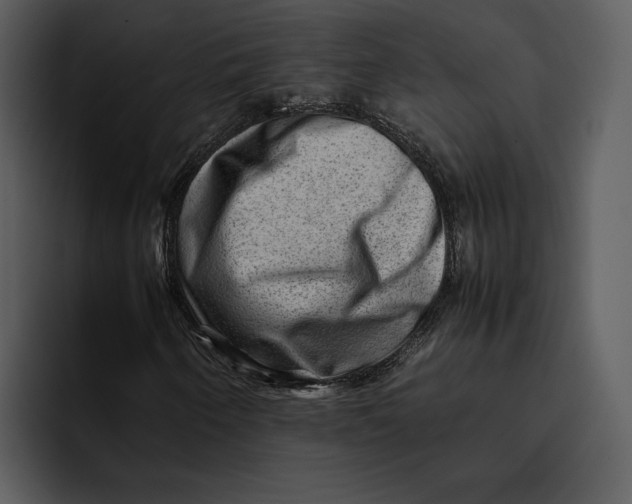 X0000095691250200801291210