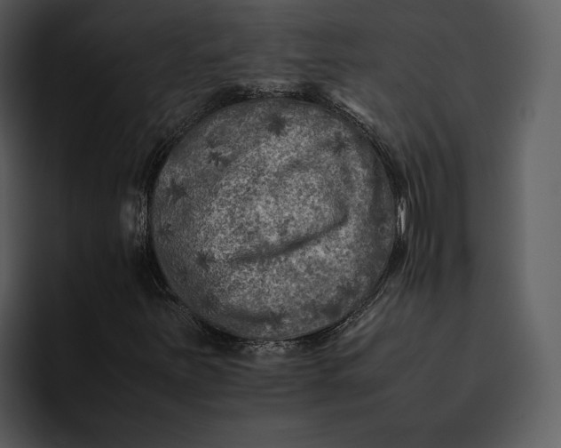 X0000095691251200801291210