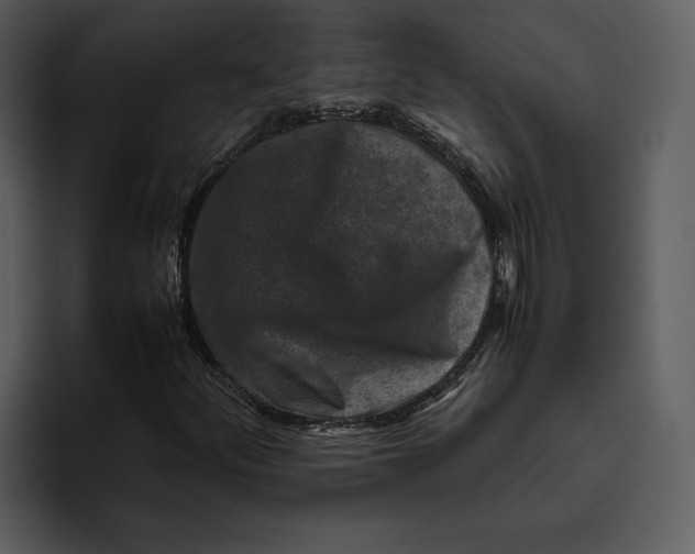 X0000095691252200801291210