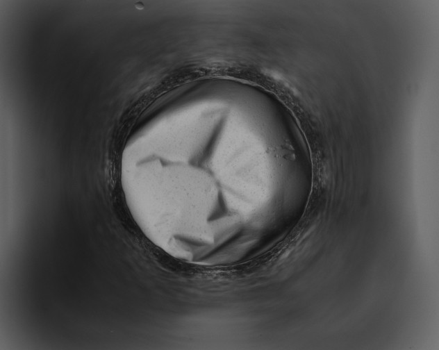 X0000095691253200801291210