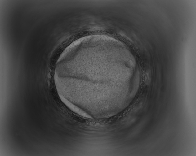 X0000095691254200801291210