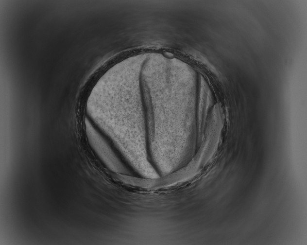 X0000095691256200801291210