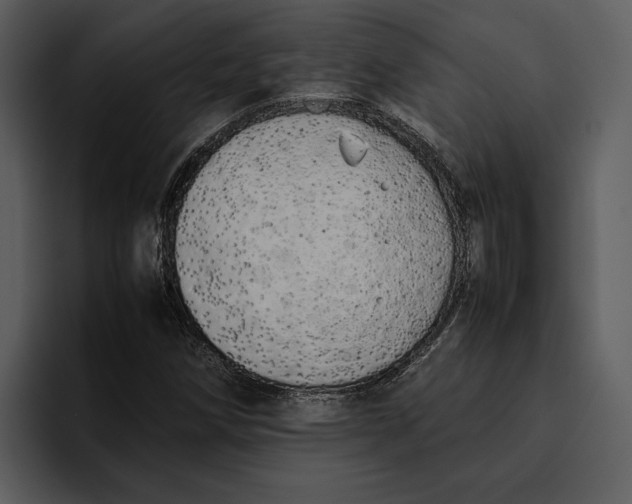 X0000095691258200801291210