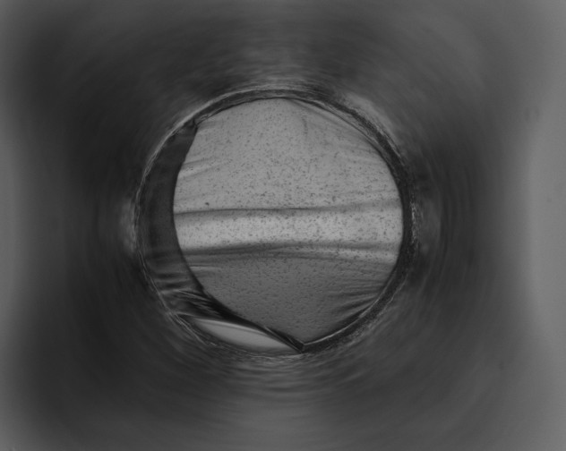 X0000095691260200801291210