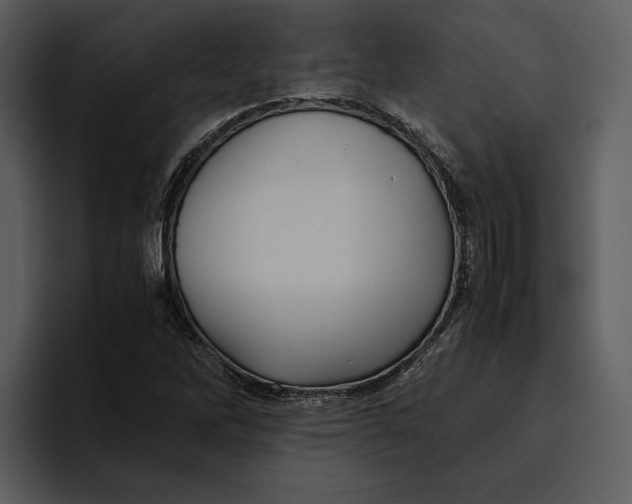 X0000095691262200801291210