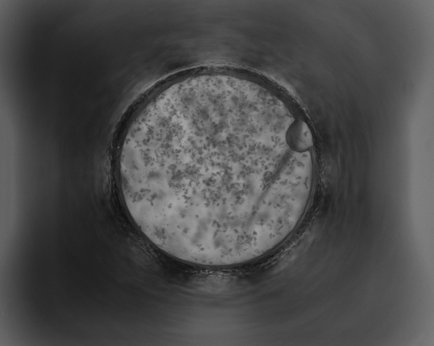 X0000095691263200801291210