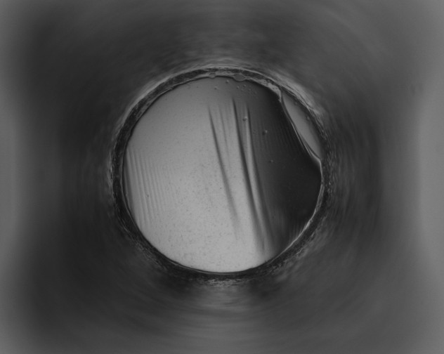 X0000095691264200801291210