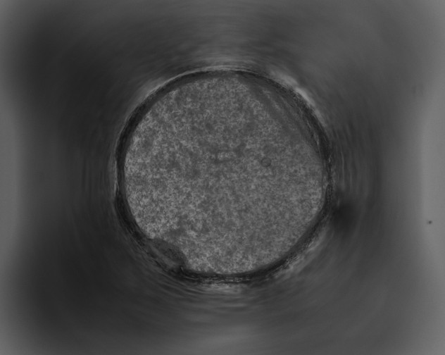 X0000095691267200801291210