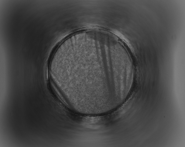 X0000095691269200801291210