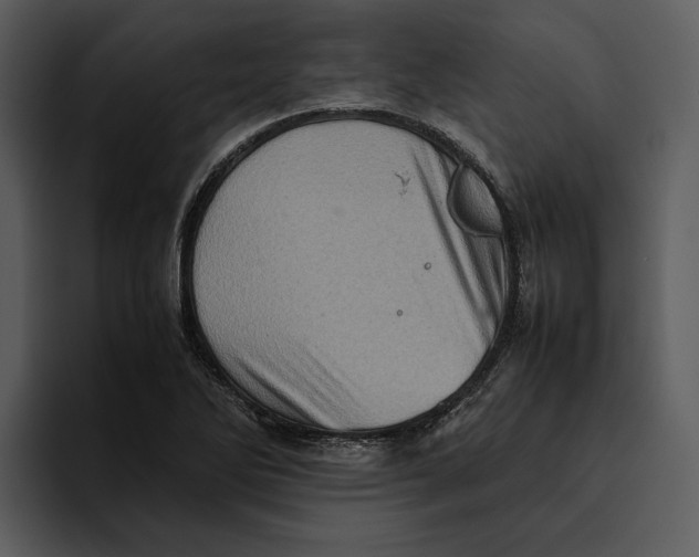 X0000095691270200801291210