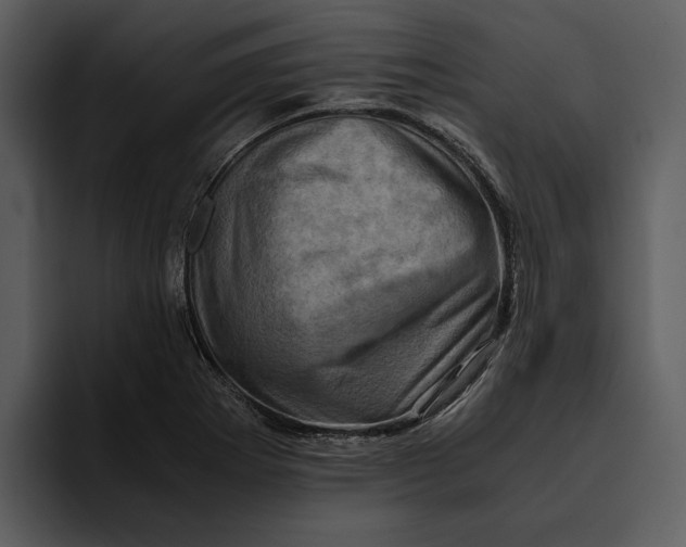 X0000095691273200801291210