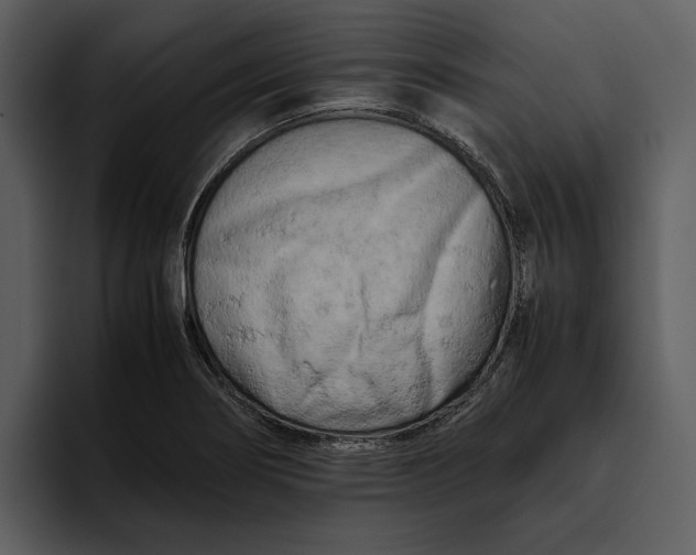 X0000095691274200801291210