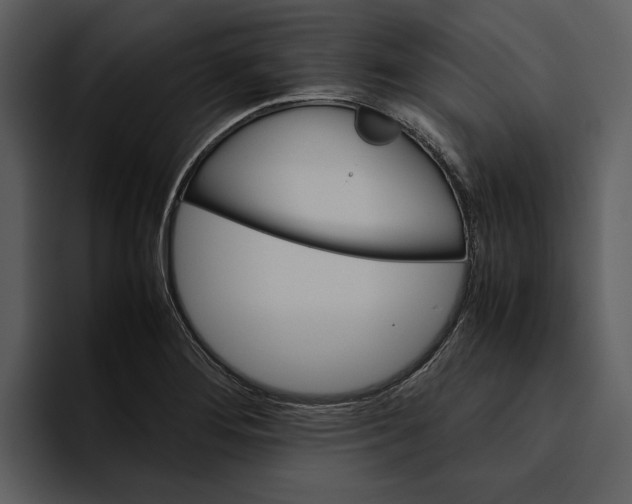 X0000095691276200801291210