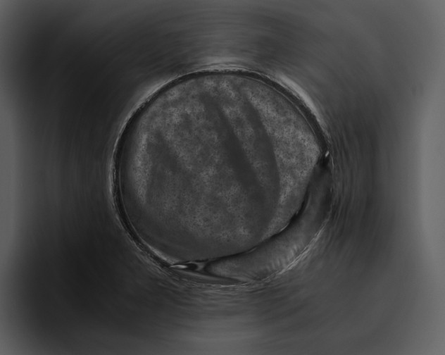 X0000095691277200801291210