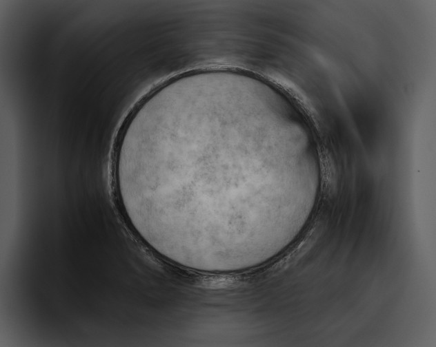 X0000095691278200801291210