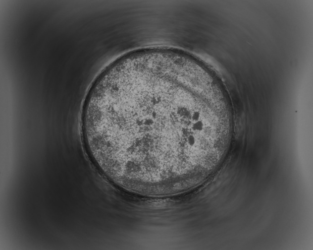 X0000095691279200801291210