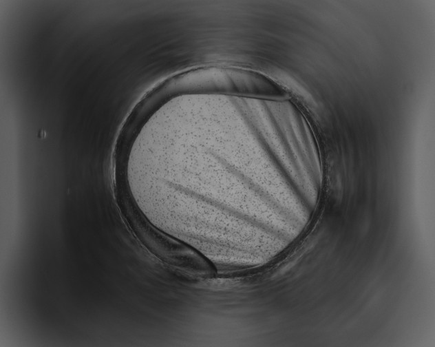 X0000095691280200801291210