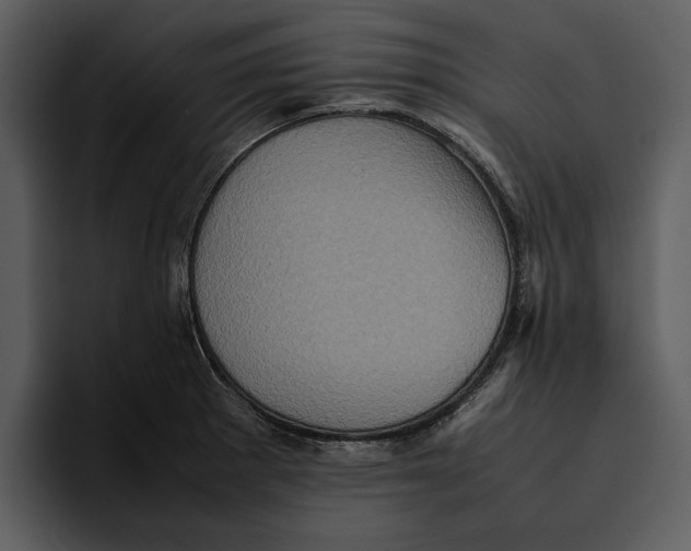 X0000095691281200801291210