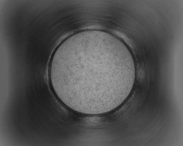 X0000095691282200801291210