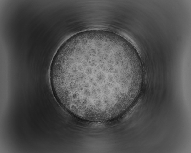 X0000095691283200801291210