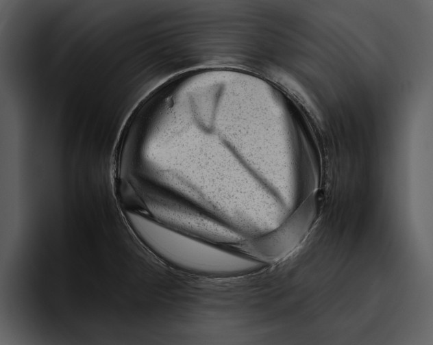 X0000095691284200801291210