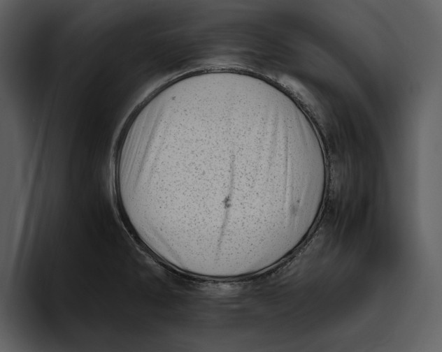 X0000095691286200801291210