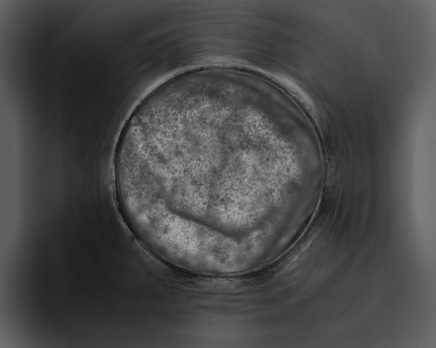 X0000095691287200801291210