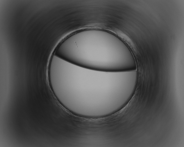 X0000095691288200801291210