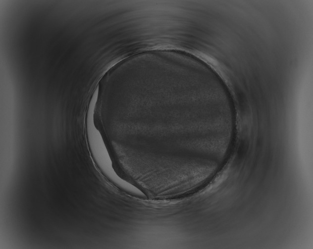 X0000095691289200801291210