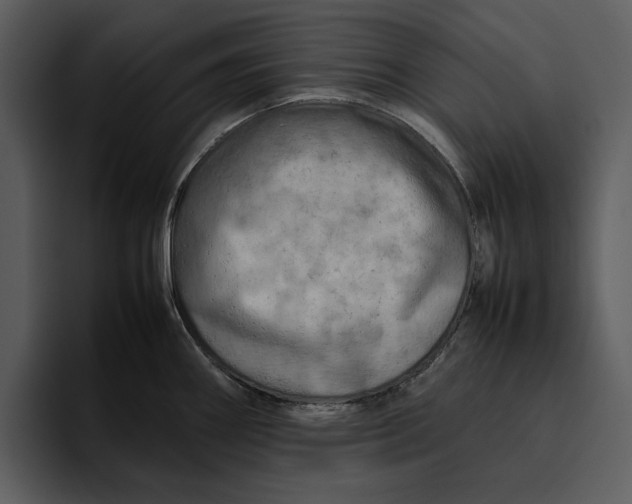 X0000095691290200801291210