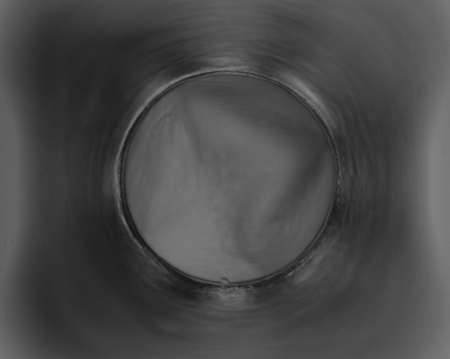 X0000095691291200801291210