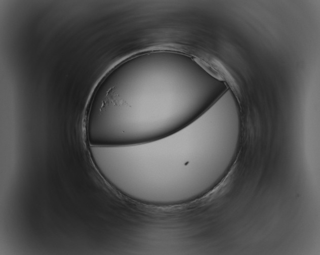 X0000095691292200801291209