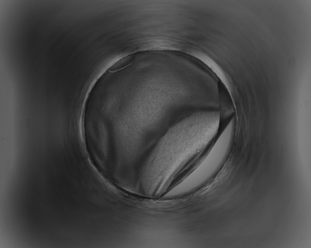 X0000095691293200801291209