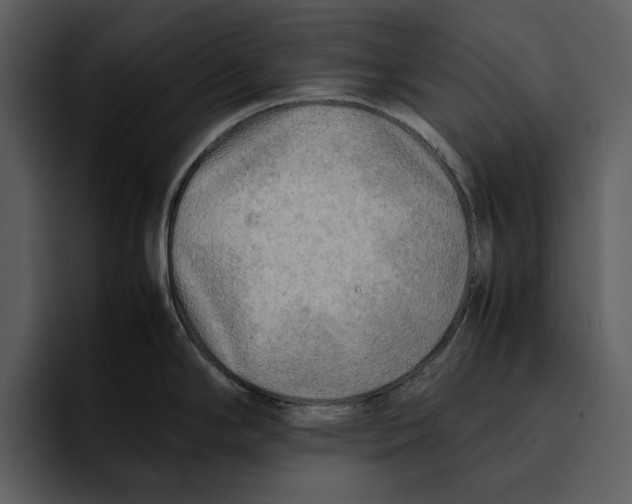 X0000095691294200801291209