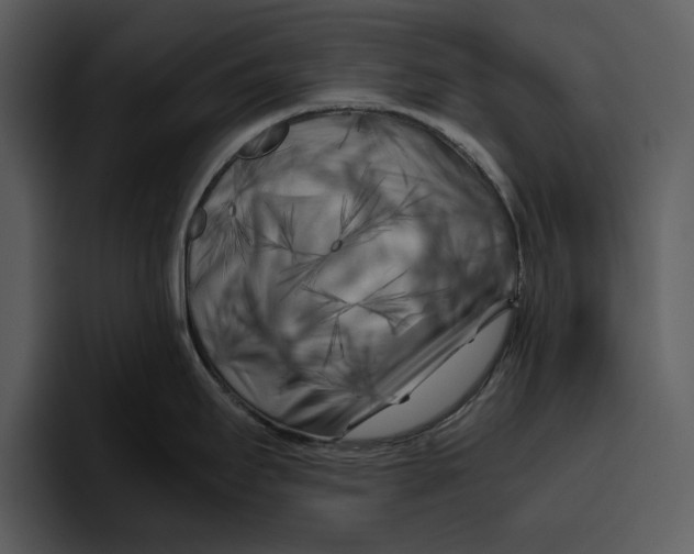 X0000095691295200801291209