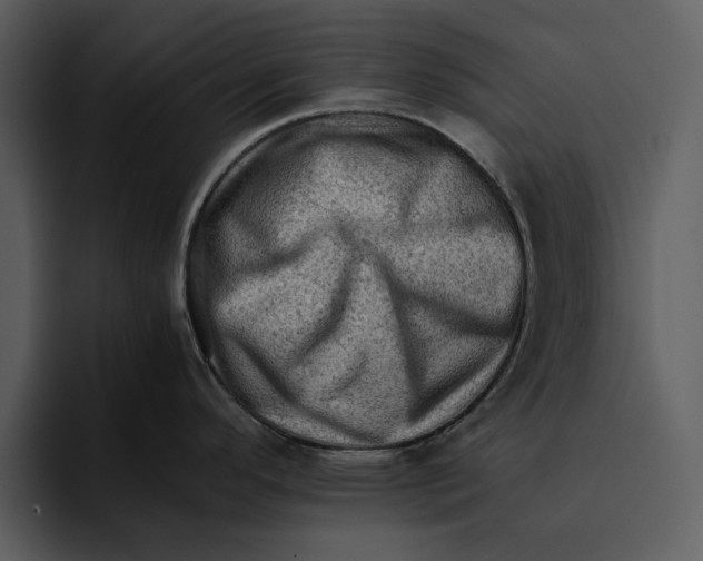 X0000095691296200801291209