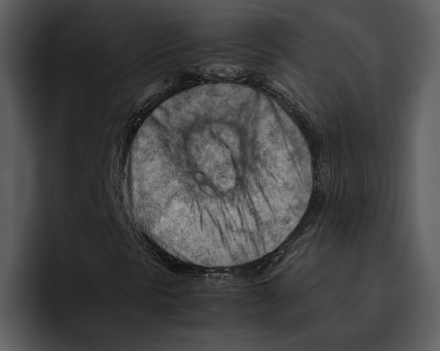 X0000095691297200801291209