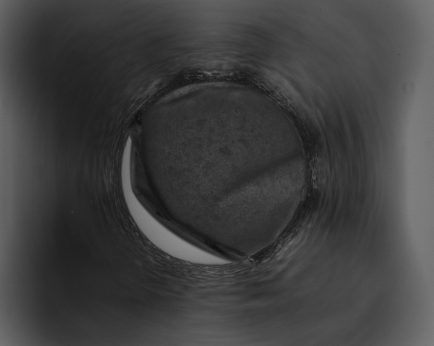 X0000095691298200801291209